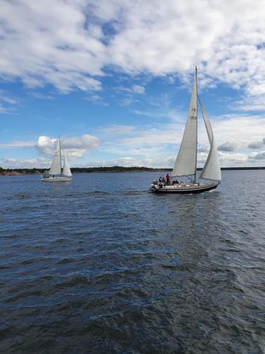 20200731 100030   serialized3