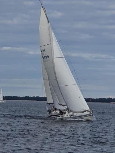 20200731 100635   serialized1