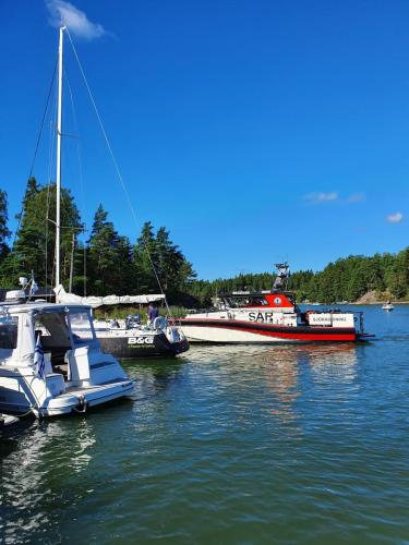 20200801 101307   serialized1