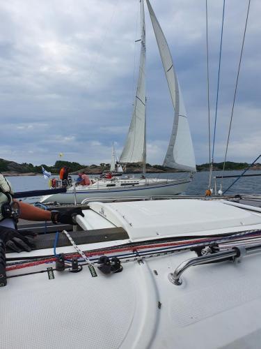 20210706 110151   serialized1